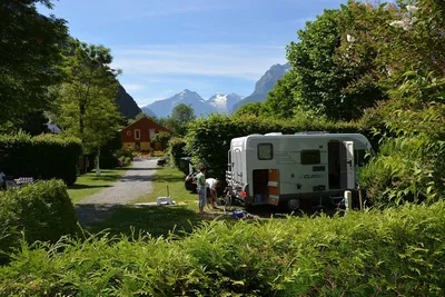 Flower Camping A La Rencontre Du Soleil - Bild 3