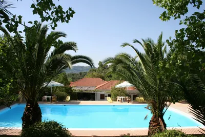 Camping Alphiós - zwei Palmen im Vordergrund mit dem Swimmingpool dahinter