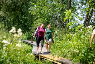 Camping am Badesee - Camperinnen beim Wandern in der Natur