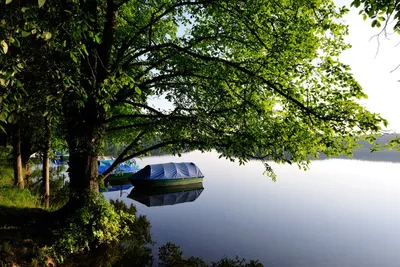 Camping Am Dreetzsee  - Boote am See vom Campingplatz