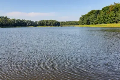 Camping am Müritzarm - Blick auf den See
