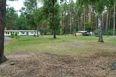 Camping am Reiherholz - Standplatz am Waldrand