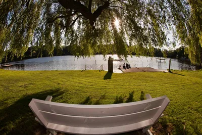 Camping am See International - Bank auf einer Wiese mit Blick auf den See