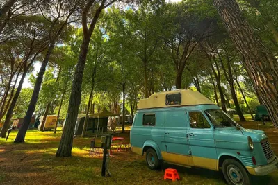 Camping Amalasunta - Standplätze zwischen den Bäumen auf dem Campingplatz