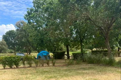 Camping Animal King - Stand- und Zeltplätze auf dem Campingplatz