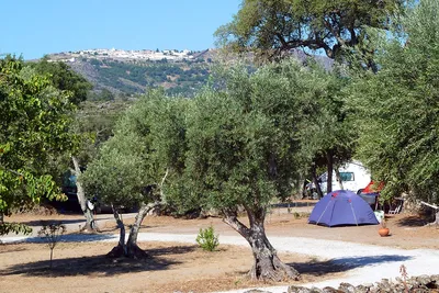 Camping Asseiceira - Stell- und Zeltplätze auf dem Campingplatz