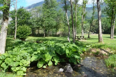 Camping Au Valbonheur - Bild 2