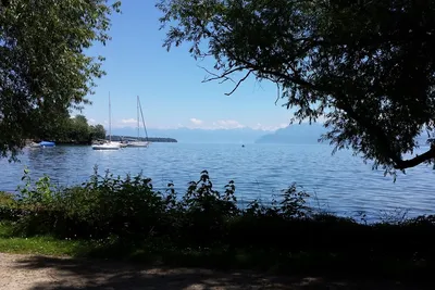Camping Aux Vernes - Der Genfer See mit zwei Segelbooten darauf