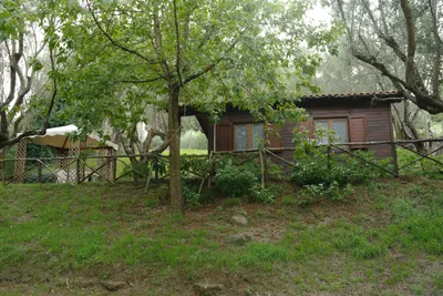 Camping Azzurro  -  Mobilheim vom Campingplatz mit Terrasse
