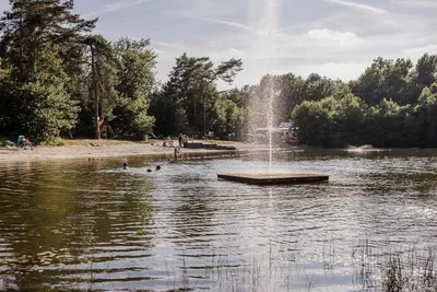 Arden Parks Baalse Hei - Bild 4