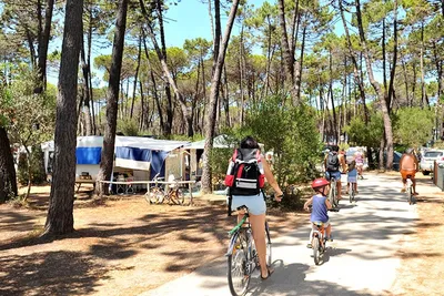 Camping Baia Verde - Radler auf einer Strasse des Campingplatzes mit Stellplätzen unter Bäumen an den Seiten