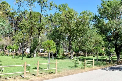 Camping Baia Verde - Wohnwagen- und Zeltstellplatz im Grünen
