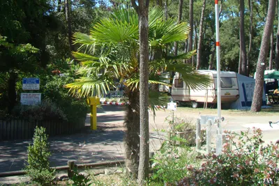 Camping Beausoleil - Eingang des Campingplatz