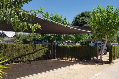 Camping Benisol - Leere schattiger Stellplatz