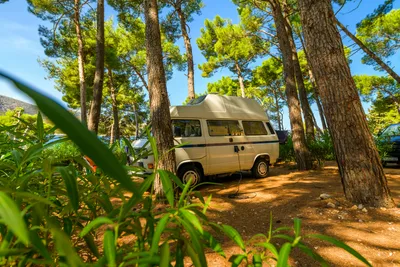 Camping Bijar - Stellplatz zwischen den Bäumen
