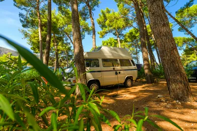 Camping Bijar - Stellplatz zwischen den Bäumen