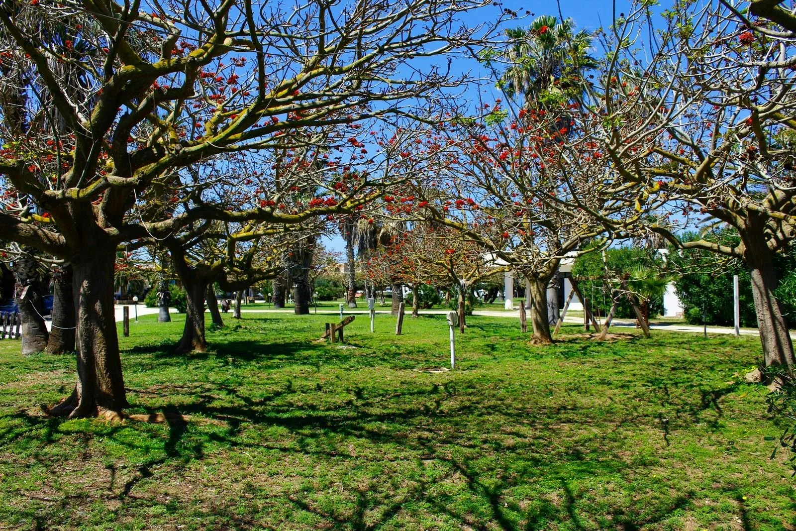 Camping Biscione