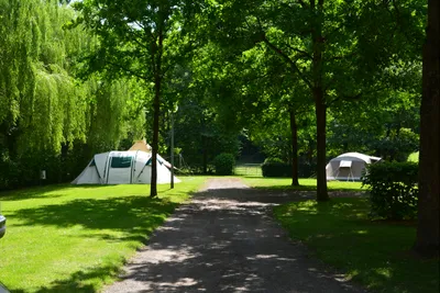 Camping Bleesbruck - Standplätze auf dem Campingplatz