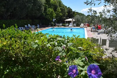 Camping Blucamp - Swimmingpool auf dem Campingplatz mit Sonnenliegen am Rand