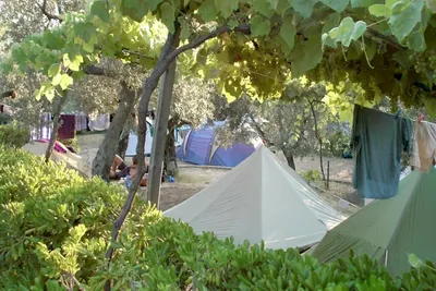 Camping Blucamp - Zelte auf der Platzwiese zwischen Bäumen