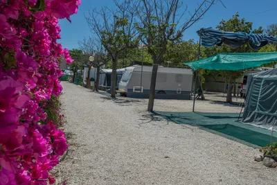 Camping Bon Sol - Campingweg mit Blumen und Stellplätze