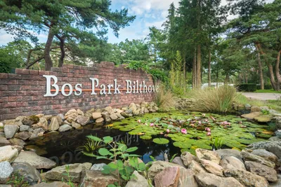 Bos Park Bilthoven - Teich am Eingang des Campingplatzes