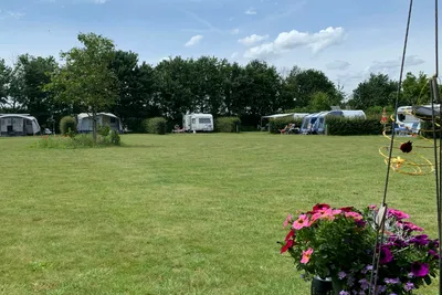 Camping Boschheide - Standplatzwiese auf dem Campingplatz