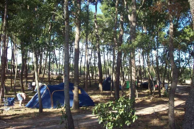 Camping Bosco Selva - Zeltplatz vom Campingplatz unter Bäumen