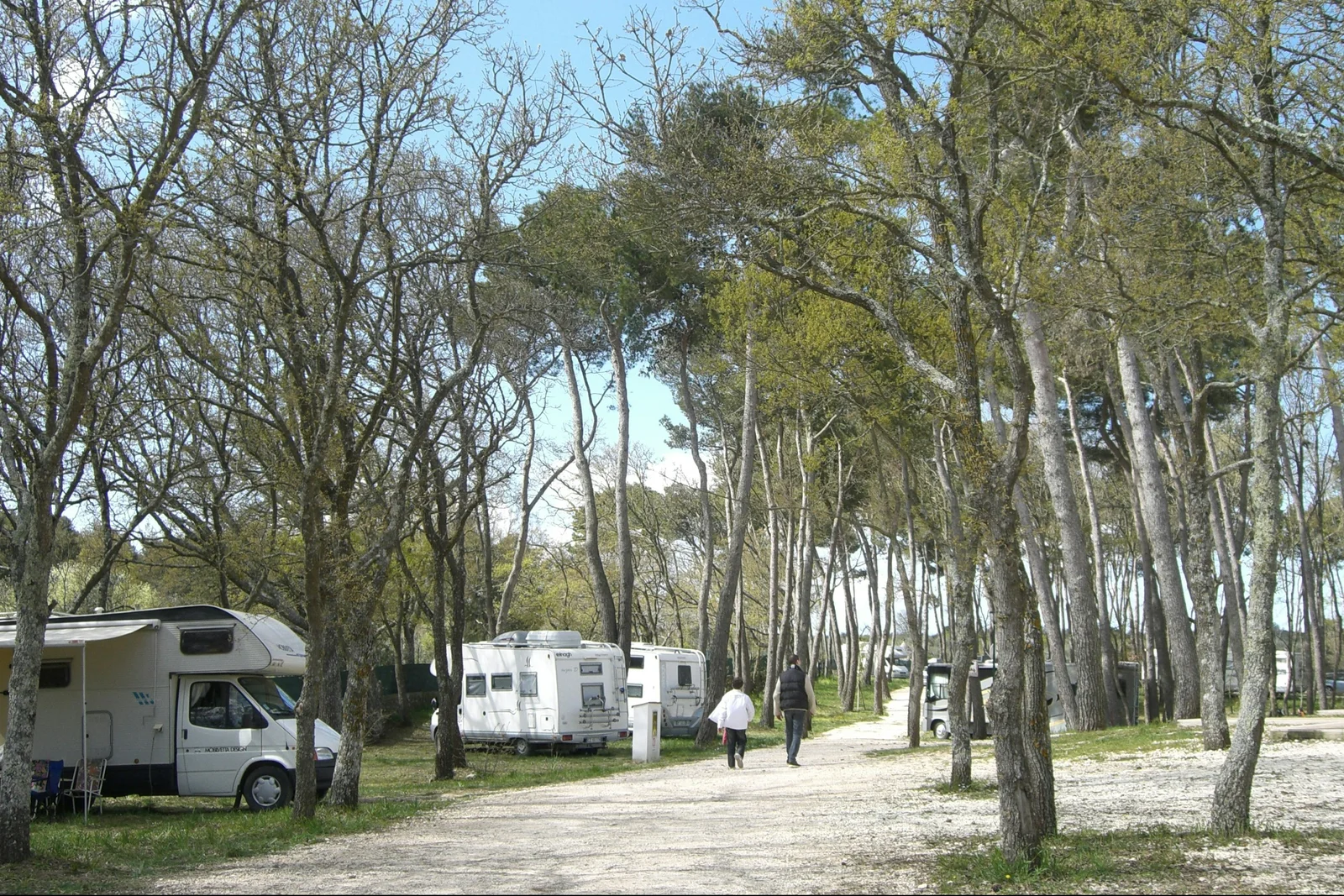Camping Bosco Selva