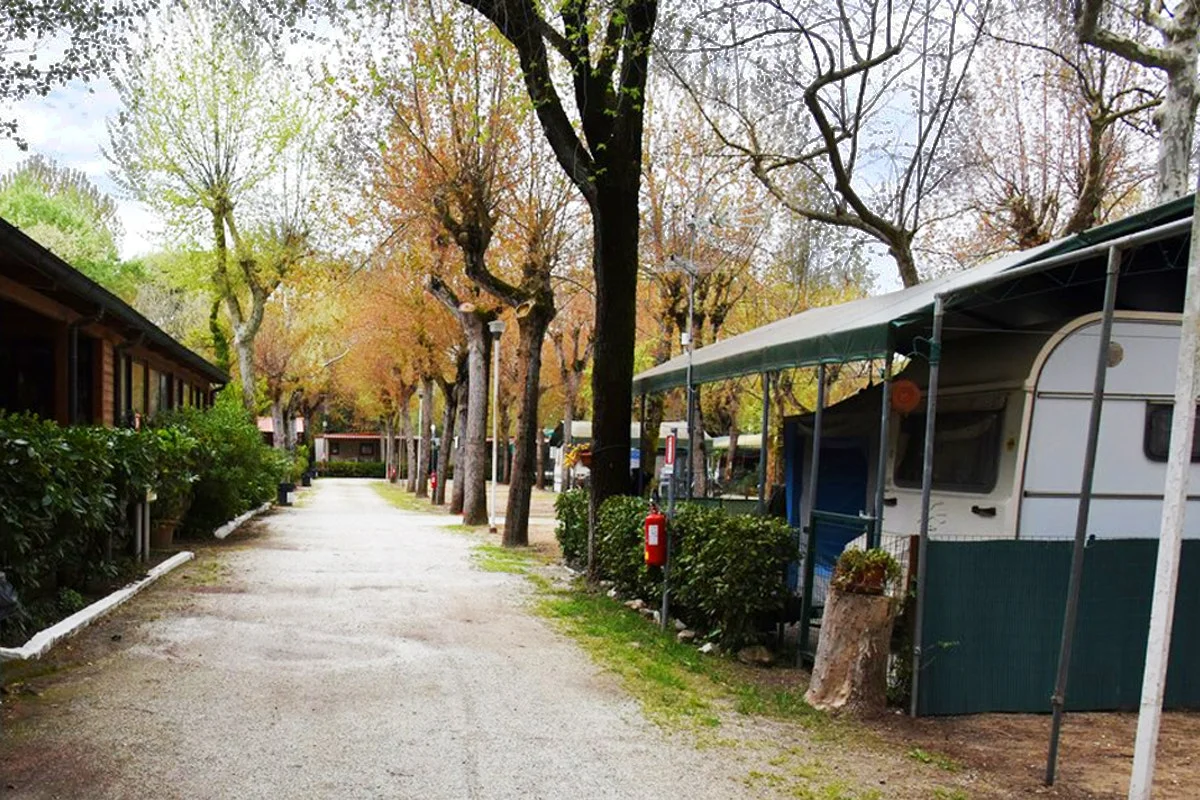 Camping Burlamacco