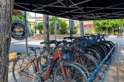 Camping Cala Ginepro  - Fahrrad auf dem Campingplatz