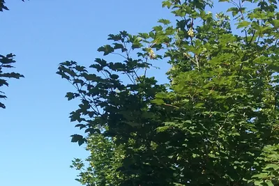 Camping Camp Redon - Bild 2