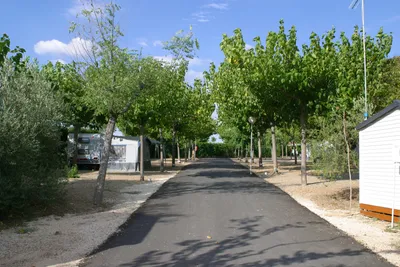Camping Carlos III - Wohnmobil- und  Wohnwagenstellplätze auf dem Campingplatz