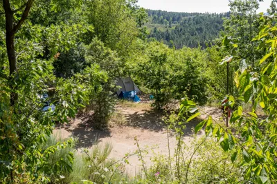 Cepo Verde - Bild 2