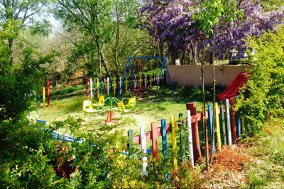 Cepo Verde - Bild 3