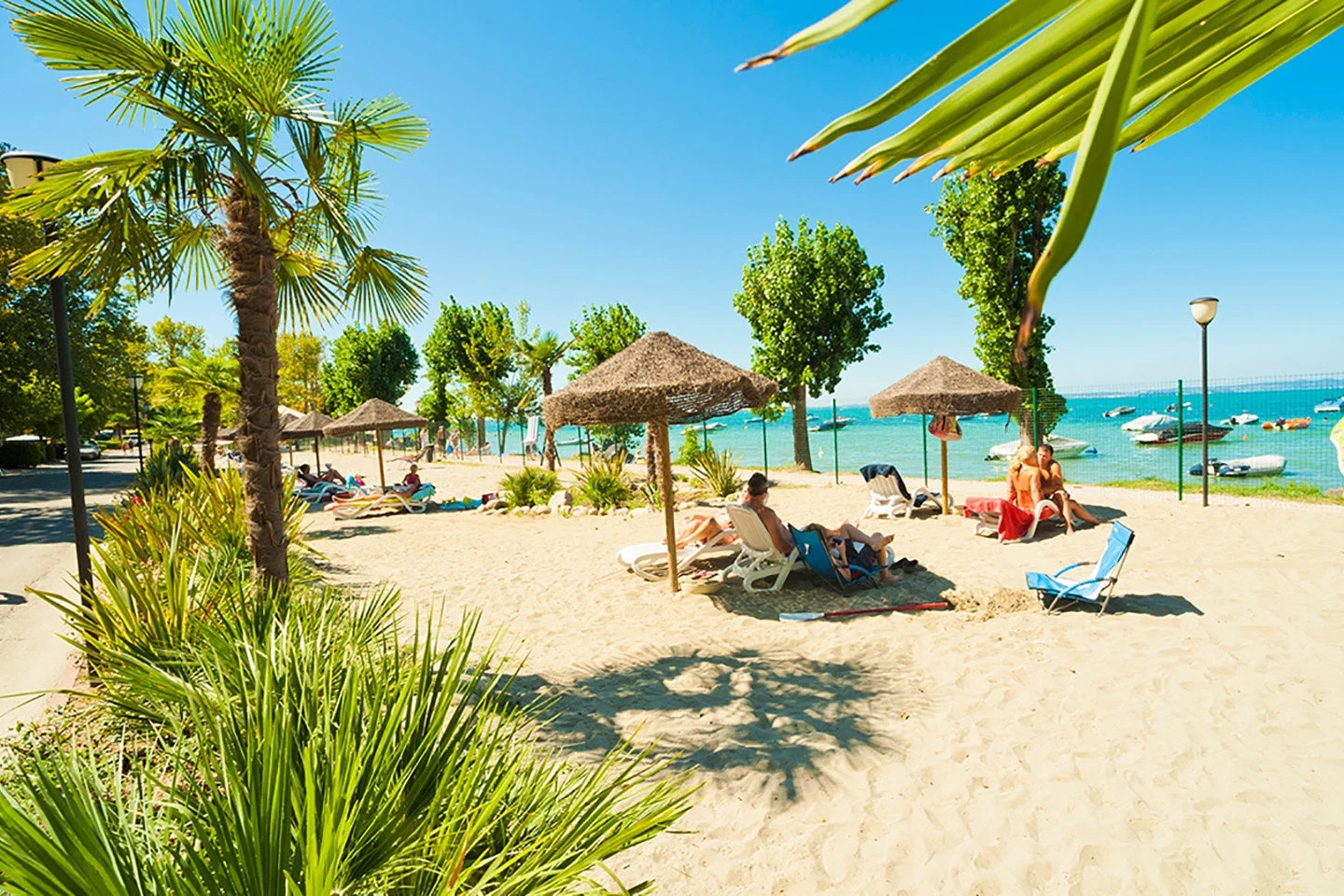 Camping Cisano E San Vito
