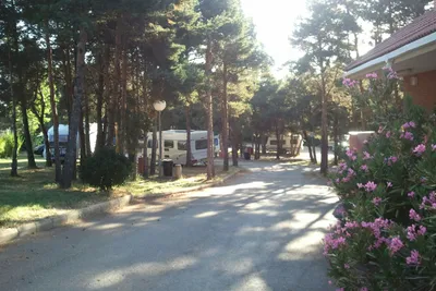 Camping Ciudad de León - Strasse auf dem Campingplatz mit Stellplätzen zwischen Bäumen