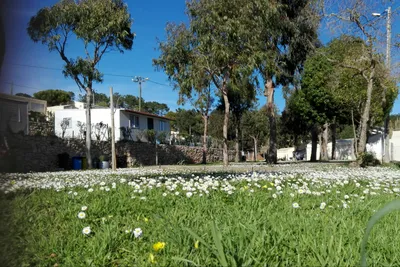 Camping Colina do Sol - Genäude des Campingplatzes zwischen Bäumen