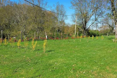 Camping De Bourg Charente - Bild 3