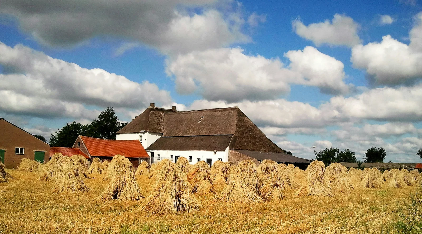 Camping de Eikelaar