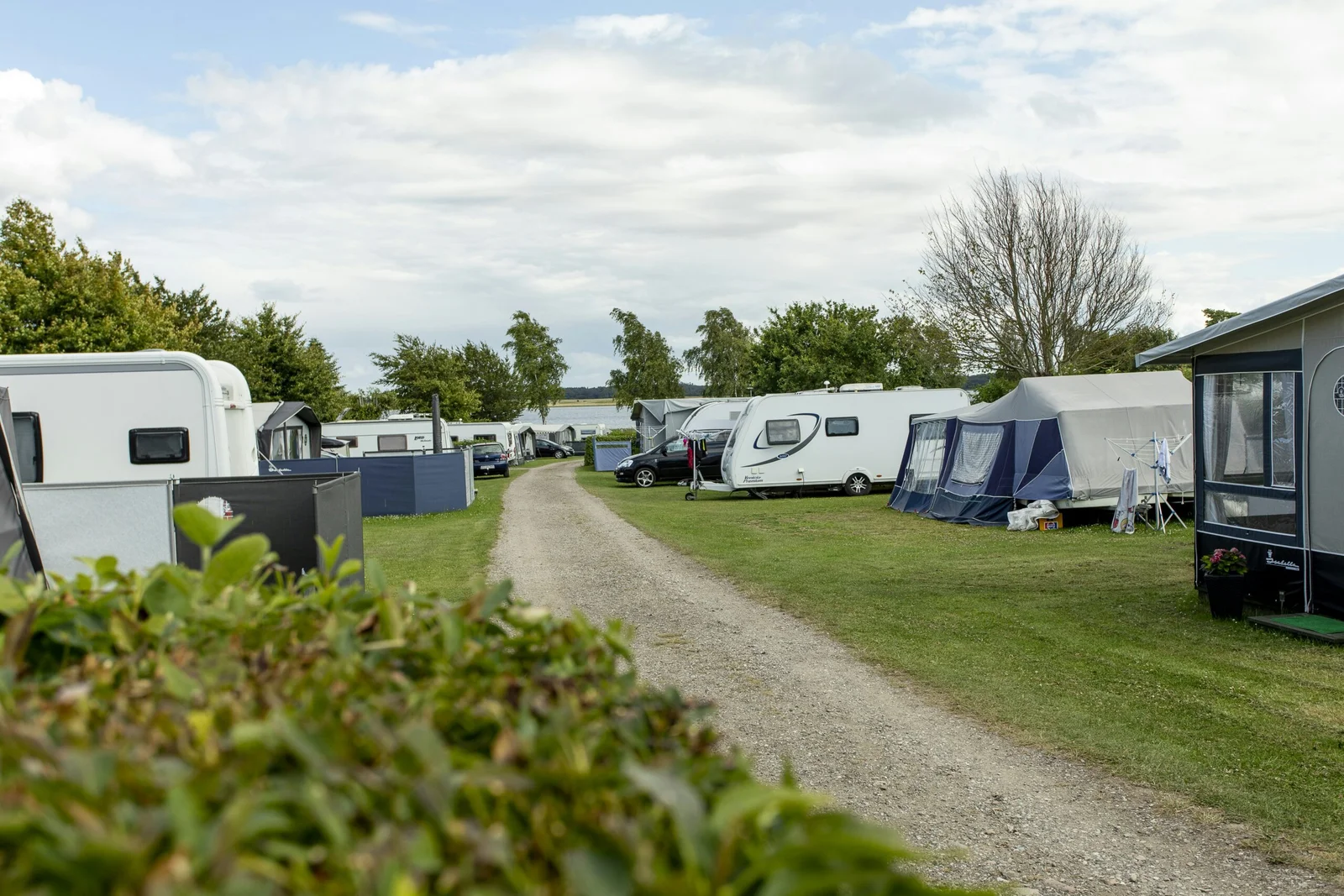 De Hvide Svaner Camping