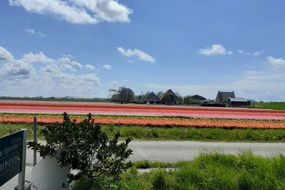 Camping De Iepenhoeve