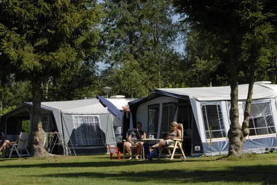 Camping De Kienehoef - Campingbereich für Wohnwagen im Schatten der Bäume