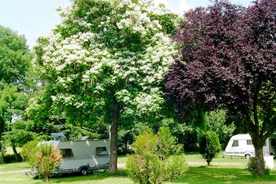 Camping de l'Ardan
