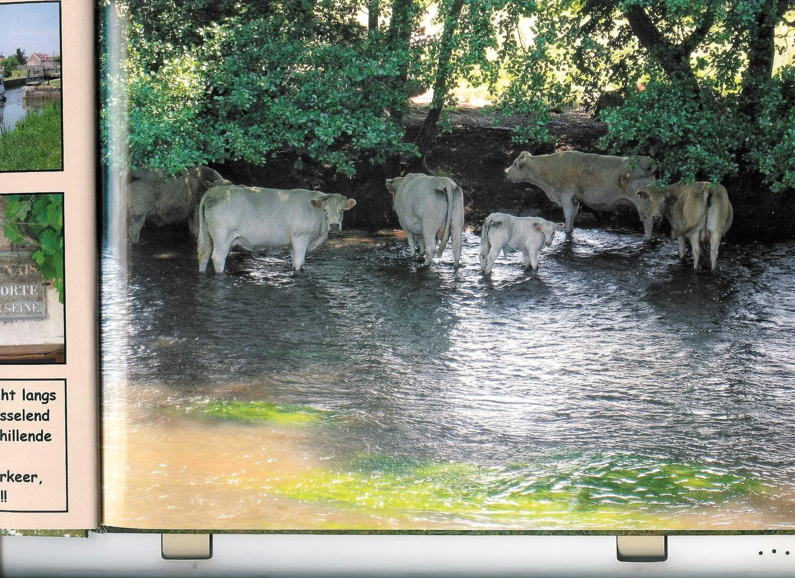Camping de l'Ardan