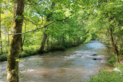Camping de la Pra - Blick auf den Fluss am Campingplatz