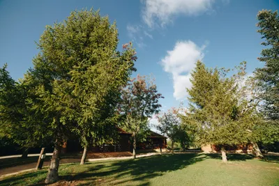 Camping De La Vall D'àger - Bild 2