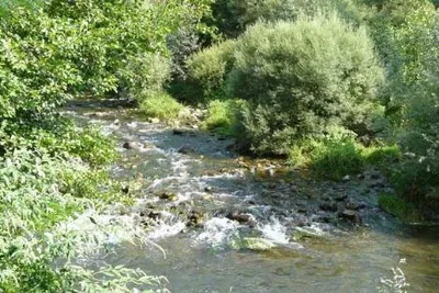 Camping de la Vallée