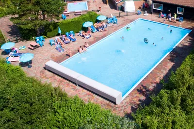 Camping Den Osse  - Pool im Freien mit Liegestühlen und Sonnenschirmen
