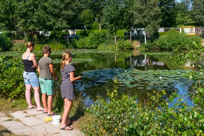Camping De Otterberg - Bild 3